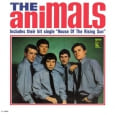 The Animals